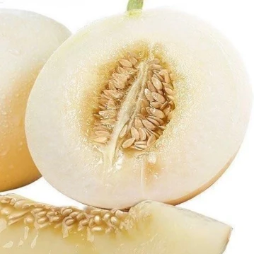 Strong Disease Resistance Melon Seeds ME-0382 Strong Disease Resistance Melon Seeds ME-0382